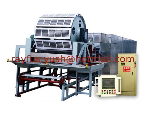 Ligne de production de plateaux d'œufs en papier, machine de fabrication de cartons d'œufs, moule fabriqué à la demande du client fournisseur